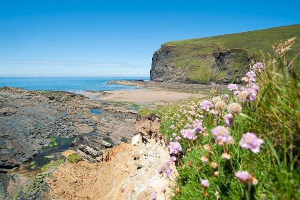 Kallowen Cottage At Crackington Haven, Near Bude And Boscastle, Cornwall Dış mekan fotoğraf